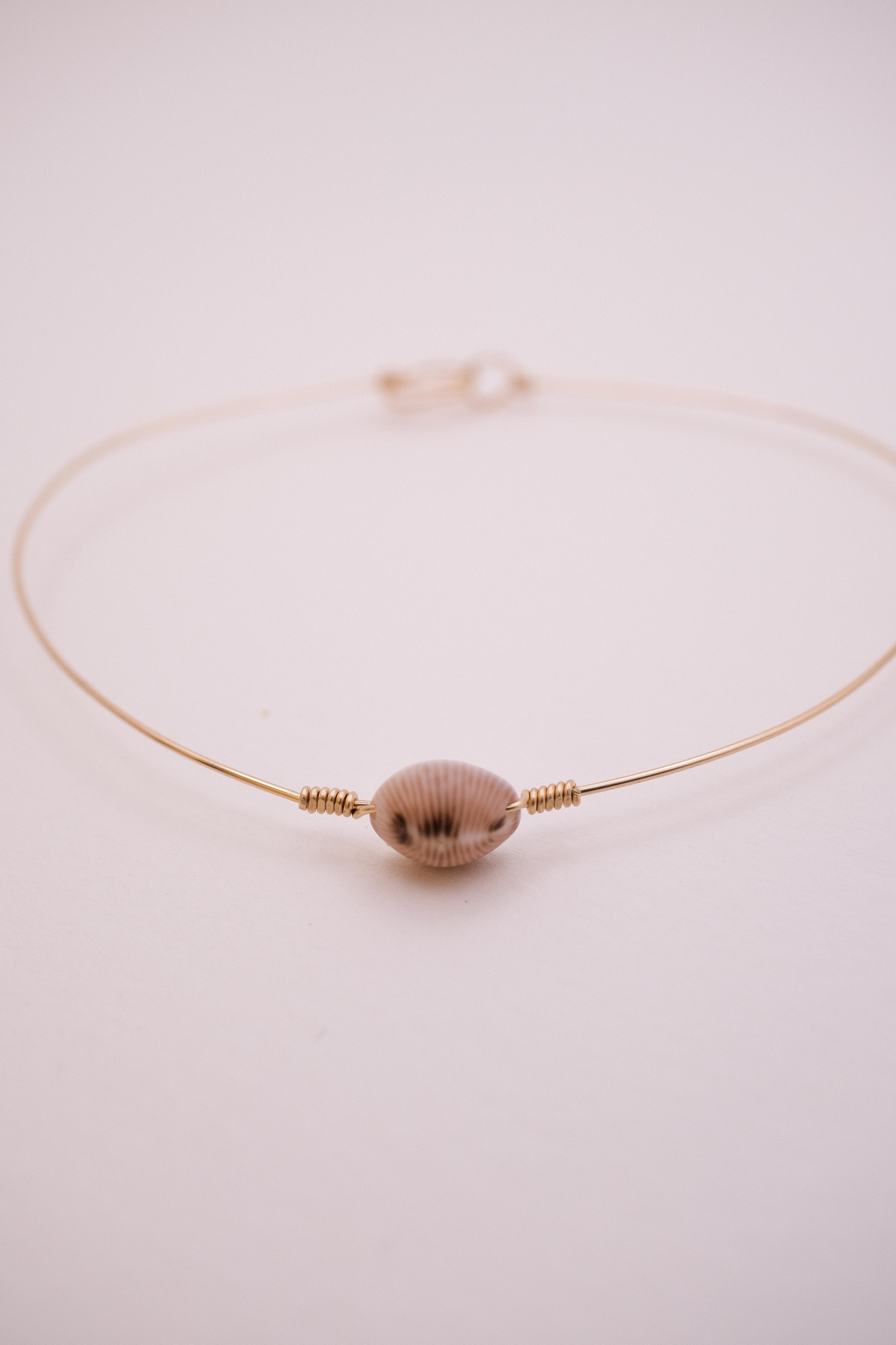 Jonc coquillage naturel