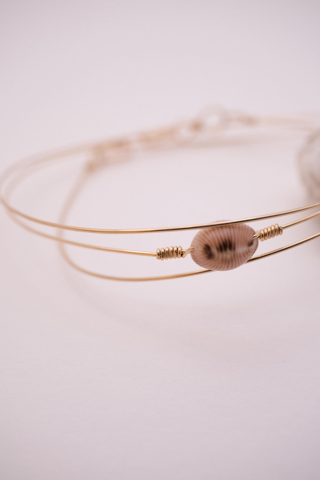 Jonc coquillage naturel