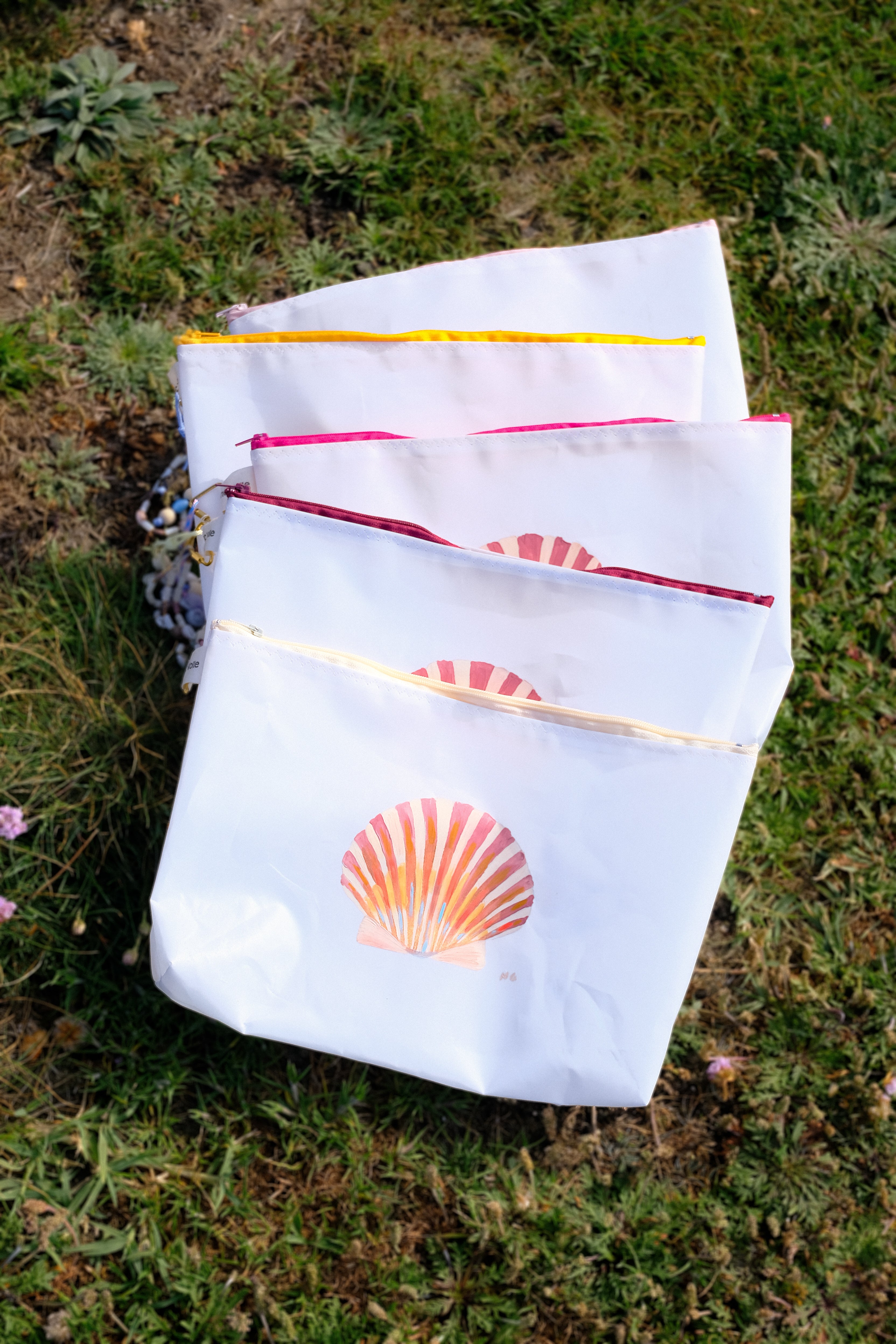 Coffret BBV X COTE SAUVAGE - EDITION LIMITEE