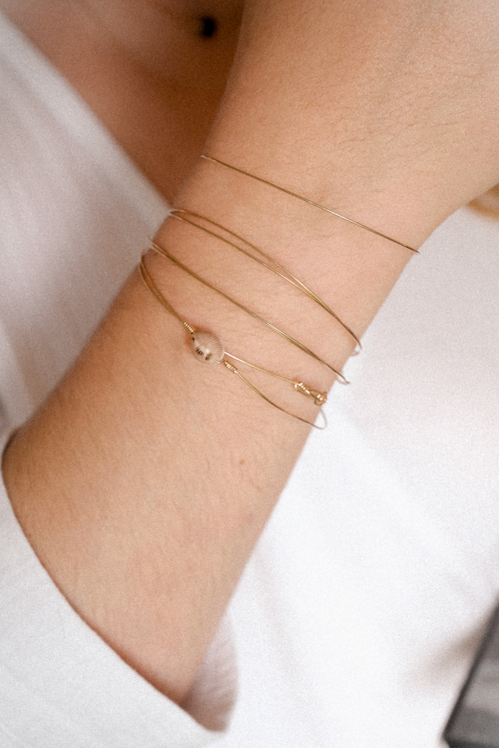 Jonc coquillage naturel